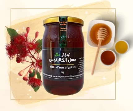 miel d'eucalyptus